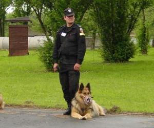 пазл Полицейский с его полицейская собака